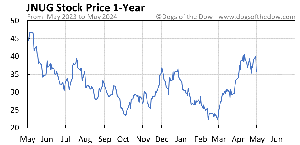 JNUG 1-year stock price chart